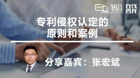 张宏斌：专利侵权认定的 原则和案例
