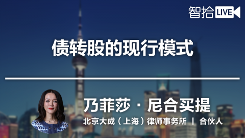 【免费课】乃菲莎：不良资产处置之债转股法律实务解读