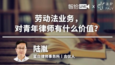 陆胤：劳动法业务，对青年律师有什么价值？