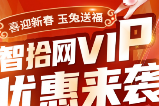 【喜迎新春】VIP会员买2送1专属链接-X