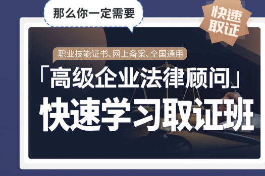 【特批优惠】2024企业法律顾问在线取证班—Ethan