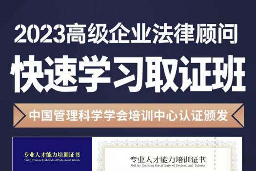 2023企业法律顾问（高级）在线取证班-Sunny