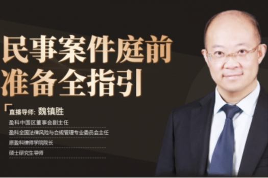 魏镇胜：民事案件庭前准备全指引——Leo