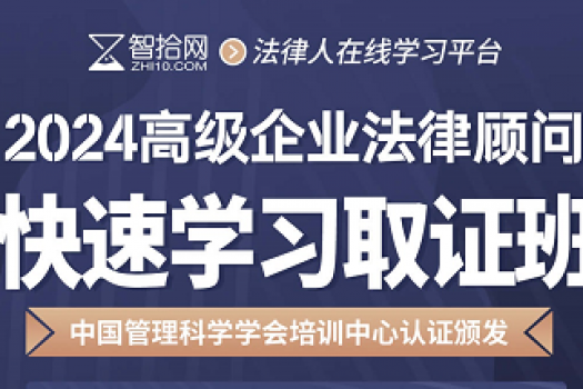 【半价报名】2024企业法律顾问 （高级）在线取证班-Es