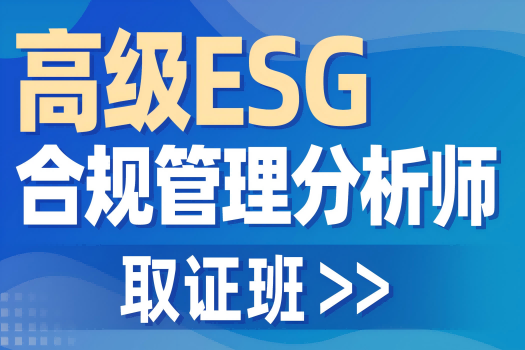 高级ESG合规管理分析师