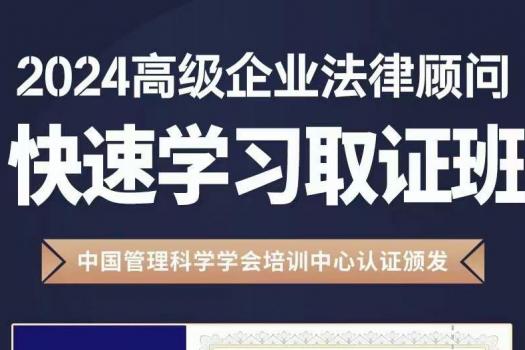 【半价特批】2024企业法律顾问（高级）在线取证班-Cynthia