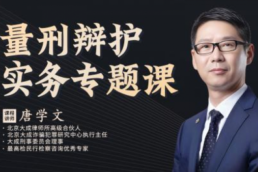 唐学文：量刑辩护实务专题课-Abby