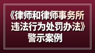 《律师和律师事务所违法行为处罚办法》警示案例