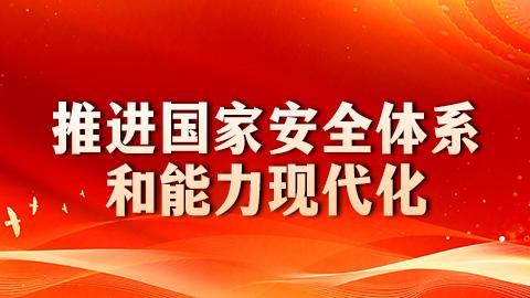 推进国家安全体系和能力现代化